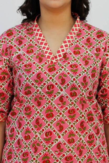 Pink V-Neck Kurta4